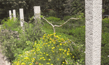 Granite Fence Posts Pineapple Finish - Garden